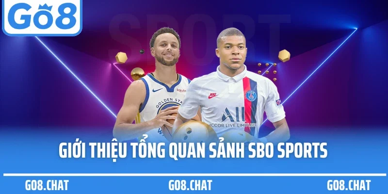 Giới thiệu tổng quan sảnh SBO sports
